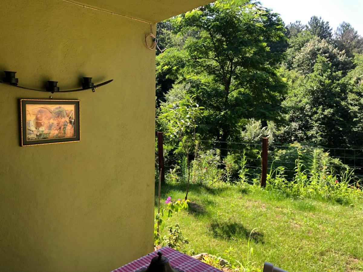 Happyhobbit Forest, Lake View, Fireplace , Jakuzi ,In Сапанджа Екстериор снимка